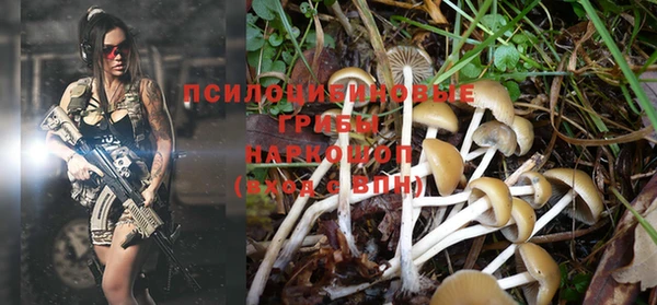 ешки Липки