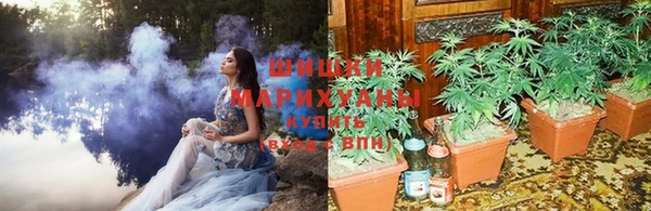 ешки Липки