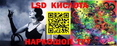 PSILOCYBIN Кингисепп