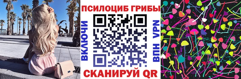 Галлюциногенные грибы Psilocybe  где найти   Таганрог 