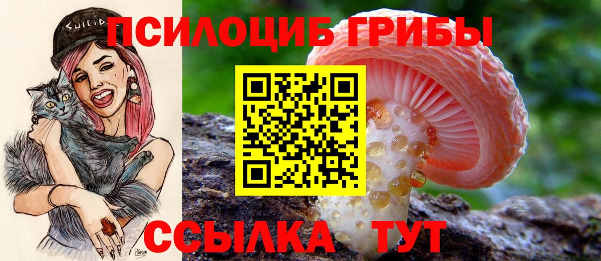 Псилоцибиновые грибы Cubensis Таганрог